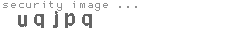 security image