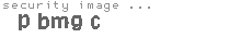 security image