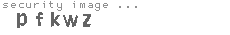 security image