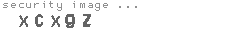 security image