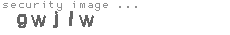 security image