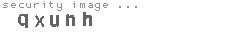 security image