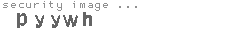 security image