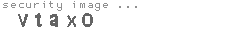 security image