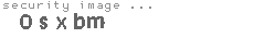 security image
