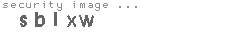 security image