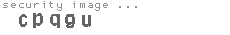 security image