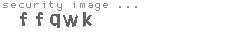 security image