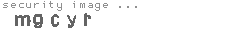security image