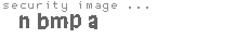 security image