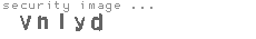 security image