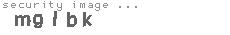 security image