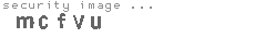 security image