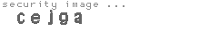 security image