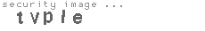 security image