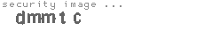 security image