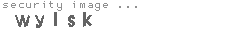 security image