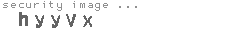 security image