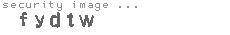 security image