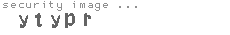 security image