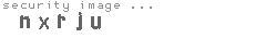 security image