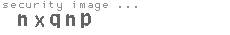 security image