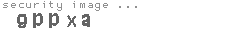 security image