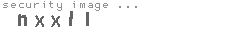security image
