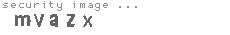 security image
