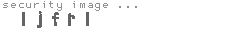 security image