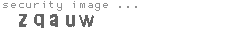security image