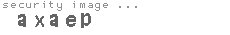 security image