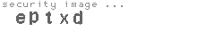 security image