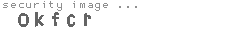 security image