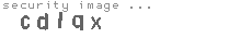 security image
