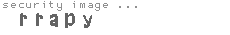 security image