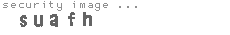 security image