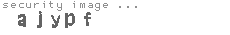 security image
