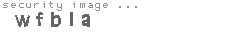 security image