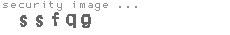 security image