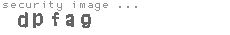 security image
