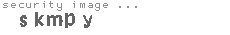security image