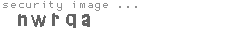 security image