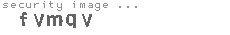 security image