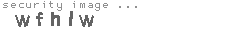 security image