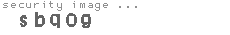 security image