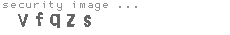 security image
