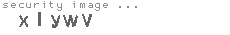 security image