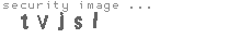 security image