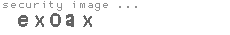 security image
